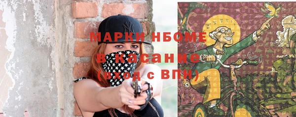 крисы Анива