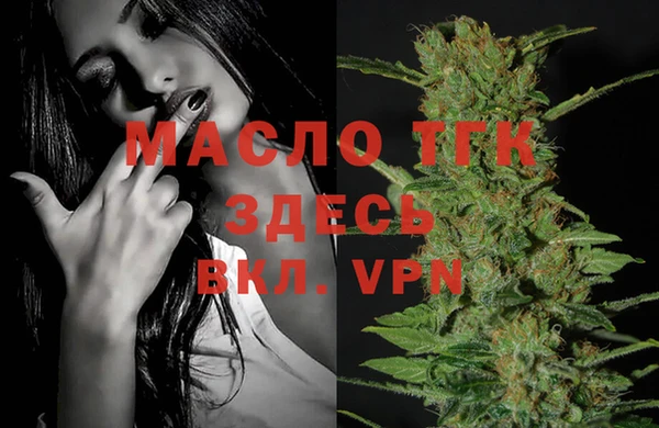 МДПВ Михайлов