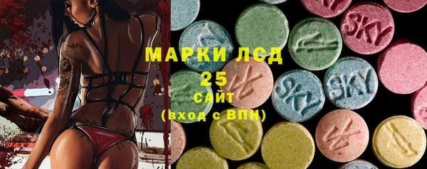 крисы Анива