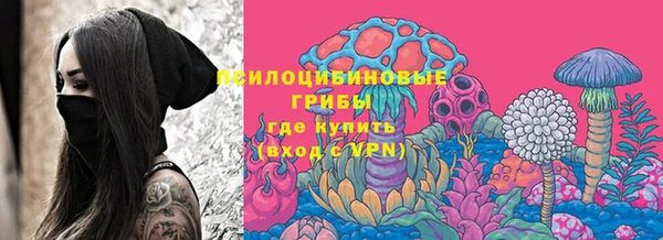 МДПВ Михайлов
