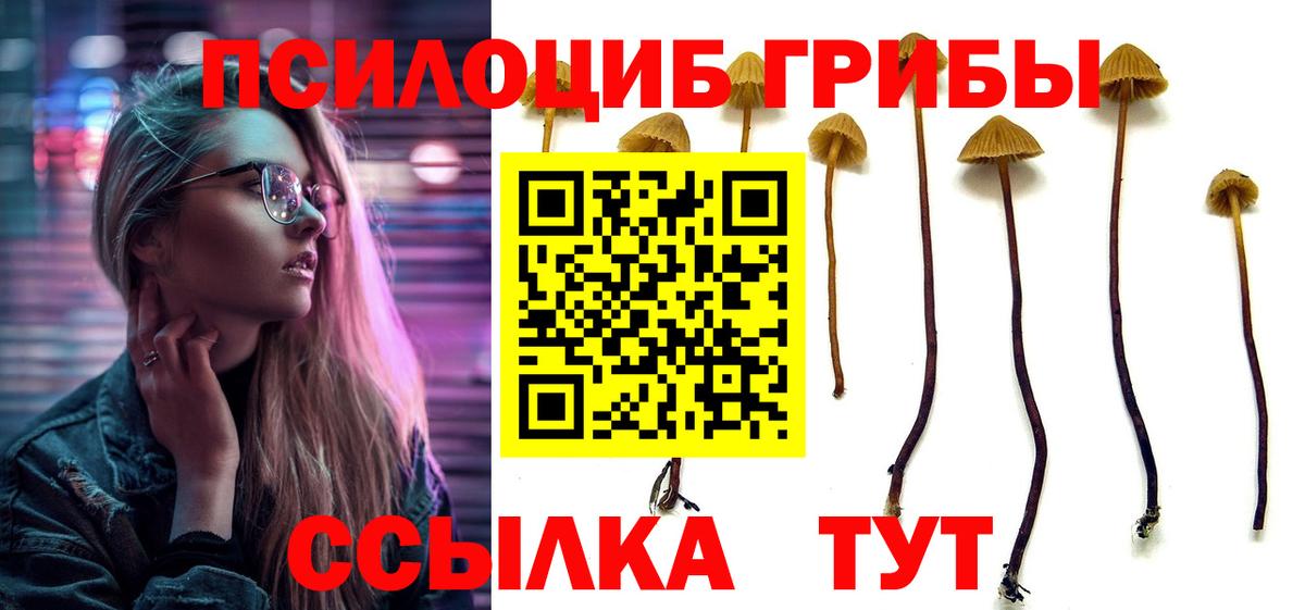 Псилоцибиновые грибы Magic Shrooms  Вход с VPN  Псилоцибиновые грибы прущие грибы  Сочи 